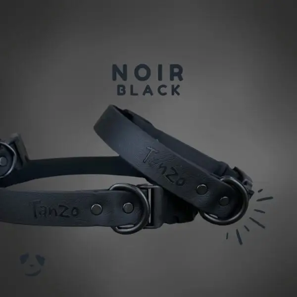 Collier pour chien en Biothane noir, robuste, imperméable et fait à la main au Québec Black Biothane dog collar – waterproof, durable, and handmade in Canada