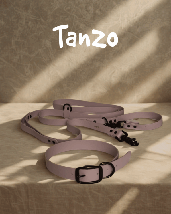Ensemble collier et laisse Tanzo en Biothane lavande sur fond neutre