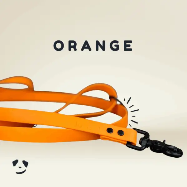 Orange biothane dog leash | Laisse en biothane orange. Meilleure laisse pour chien en biothane au canada.Black biothane dog leash | Laisse en biothane noire. Meilleure laisse pour chien en biothane au canada