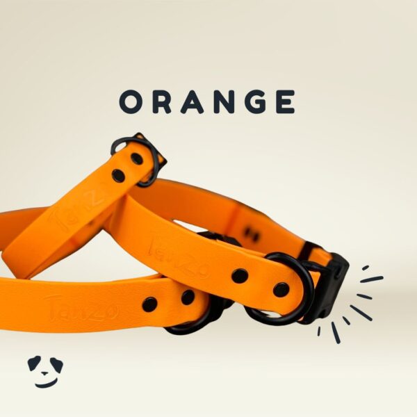 Collier pour chien en Biothane orange, imperméable, durable et fabriqué à la main au Québec
Orange Biothane dog collar – waterproof, durable, and handmade in Canada