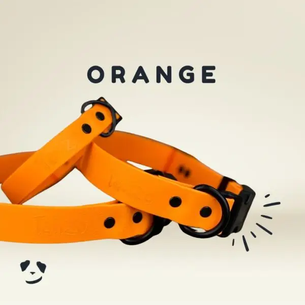 Collier pour chien en Biothane orange, imperméable, durable et fabriqué à la main au Québec Orange Biothane dog collar – waterproof, durable, and handmade in Canada