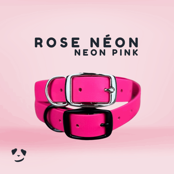 Collier pour chien en biothane robuste rose néon
