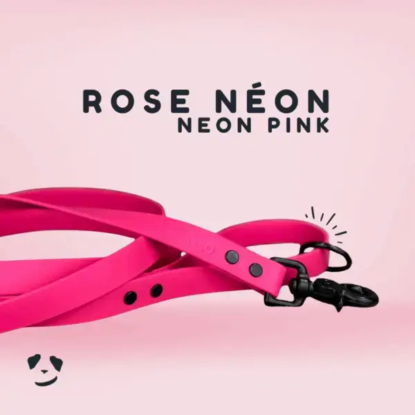 Neon pink biothane dog leash | Laisse en biothane rose néon. Best biothane dog leash in canada