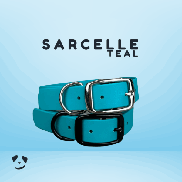 Collier pour chien en biothane robuste sarcelle