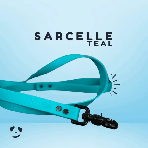 Teal biothane dog leash | Laisse en biothane Sarcelle. Best biothane dog leash in canada