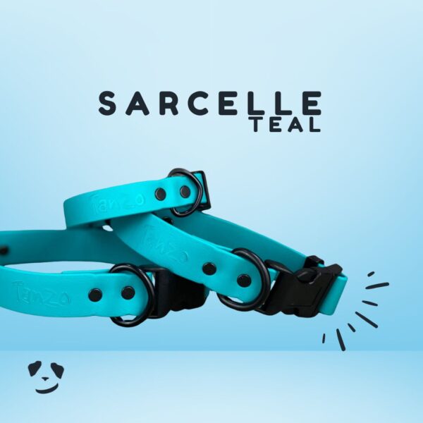 Collier pour chien en Biothane sarcelle, résistant à l’eau, sans odeur et fait à la main au Québec
Teal Biothane dog collar – waterproof, odorless, and handmade in Canada