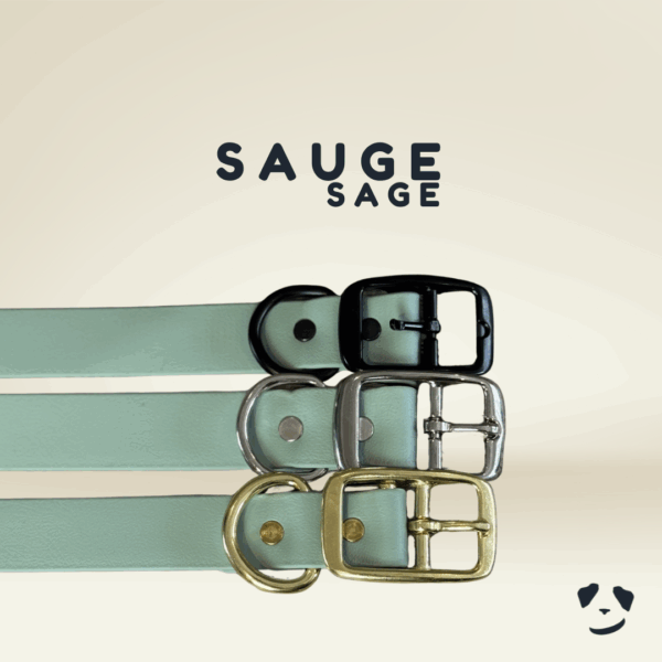 Collier pour chien en biothane robuste sauge