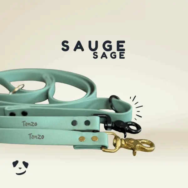 Sage biothane dog leash | Laisse en biothane sauge. Meilleure laisse pour chien en biothane au canada