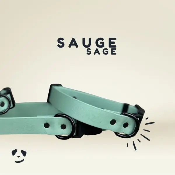 Collier pour chien en Biothane – Sauge | Biothane Dog Collar – Sage – Made in Canada