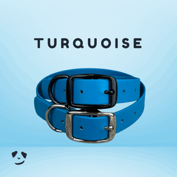 Collier pour chien en biothane robuste turquoise