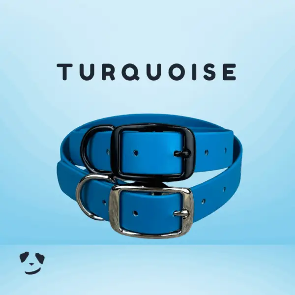 Collier pour chien en biothane robuste turquoise