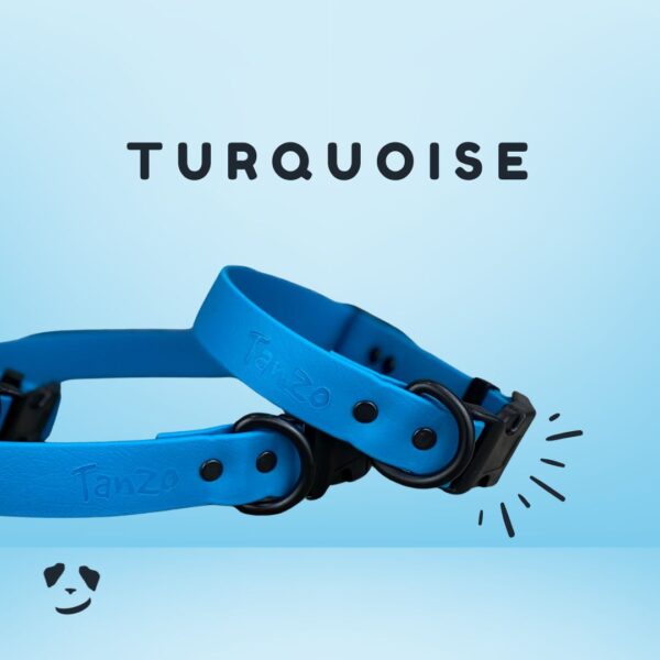 Collier pour chien en Biothane turquoise, résistant à l’eau et aux odeurs – fait à la main au Québec
Turquoise Biothane dog collar – waterproof, odorless, and handmade in Canada