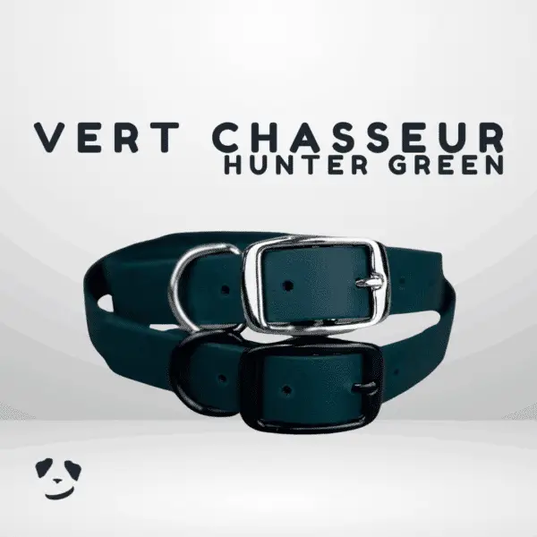 Collier pour chien en biothane robuste vert chasseur