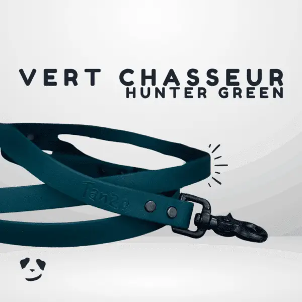 Hunter green biothane dog leash | Laisse en biothane Vert Chasseur. Best biothane dog leash in canada