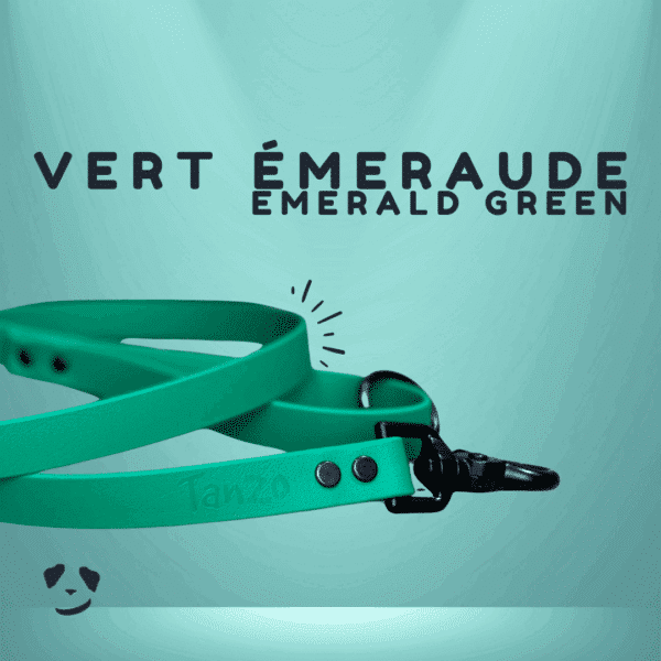 Emerald green biothane dog leash | Laisse en biothane Vert Émeraude. Meilleure laisse pour chien au canada