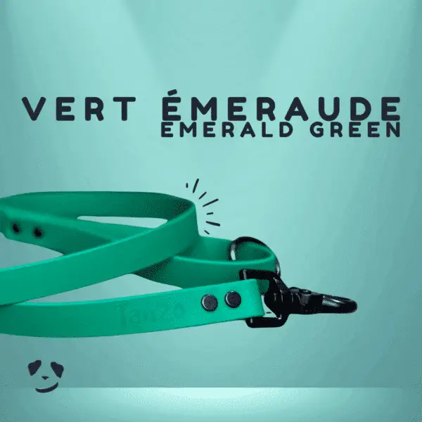 Emerald green biothane dog leash | Laisse en biothane Vert Émeraude. Meilleure laisse pour chien au canada