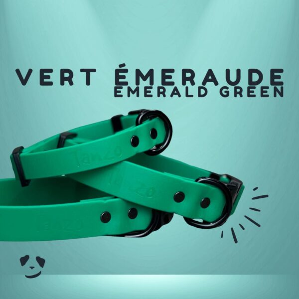 Collier pour chien en Biothane vert émeraude, durable, imperméable et fabriqué au Québec
Emerald green Biothane dog collar – waterproof, durable, and handmade in Canada