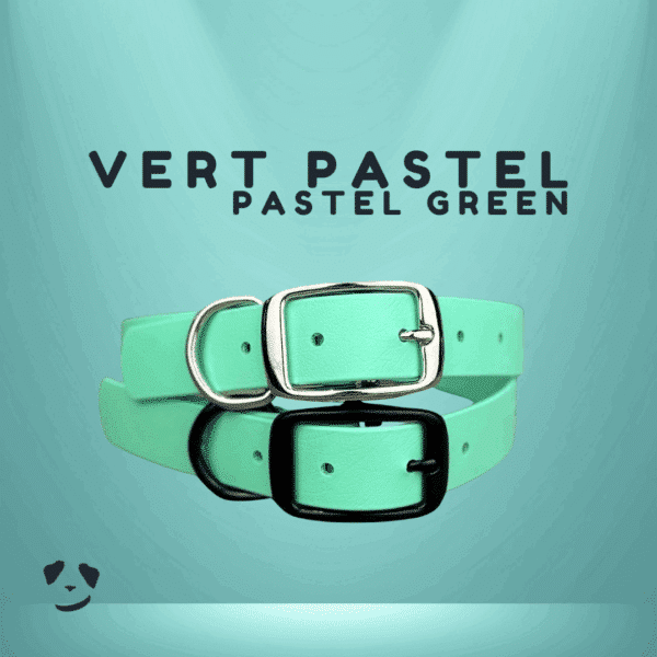 Collier pour chien en biothane robuste vert pastel