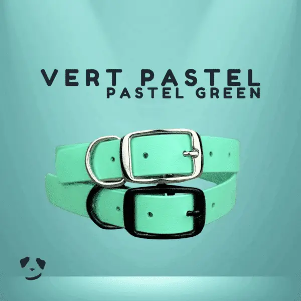 Collier pour chien en biothane robuste vert pastel
