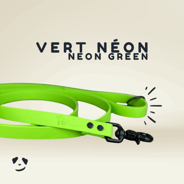 Green biothane dog leash | Laisse en biothane Vert e. Meilleure laisse pour chien au canada