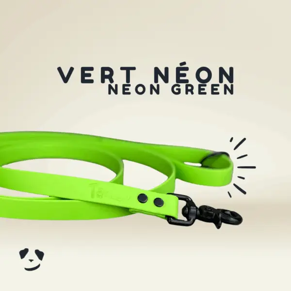 Green biothane dog leash | Laisse en biothane Vert e. Meilleure laisse pour chien au canada