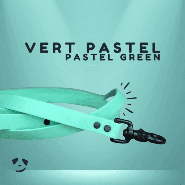 Pastel Green biothane dog leash | Laisse en biothane Vert Pastel. Meilleure laisse pour chien au canada