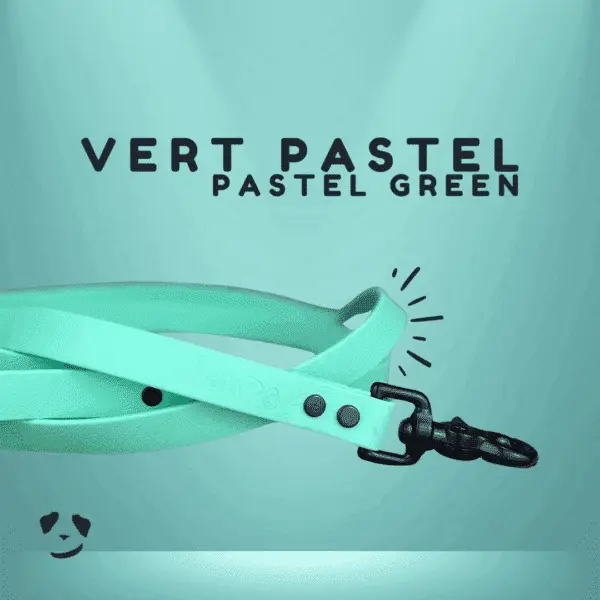 Green biothane dog leash | Laisse en biothane Vert e. Meilleure laisse pour chien au canada