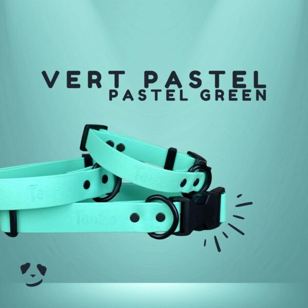 Collier pour chien en Biothane – Vert Pastel | Biothane Dog Collar – Pastel Green – Made in Canada
