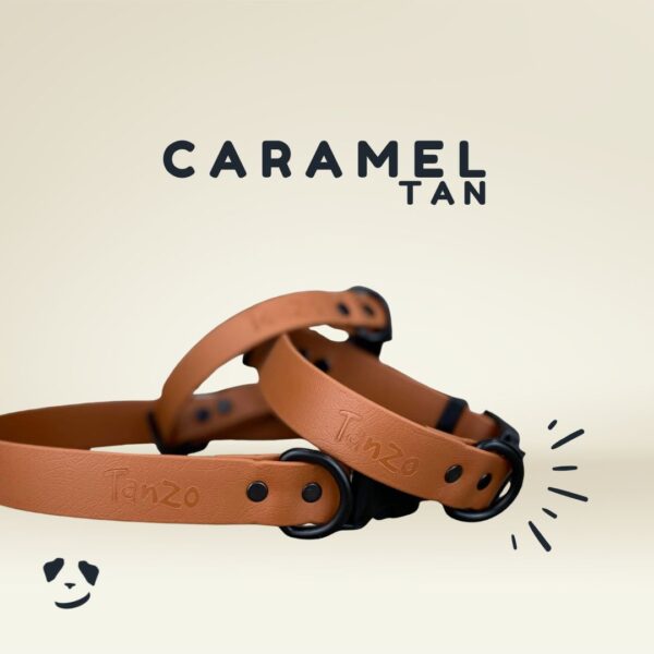 Collier pour chien en Biothane – Caramel | Biothane Dog Collar – Tan