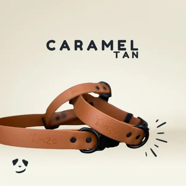 Collier pour chien en Biothane caramel, imperméable, durable et facile à entretenir – fabriqué au Québec Tan Biothane dog collar – waterproof, durable, and easy to maintain – handmade in Quebec