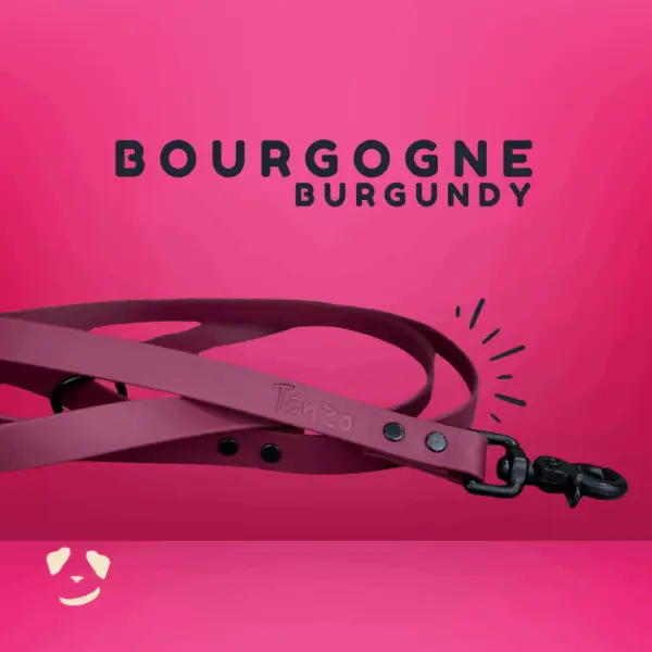 Burgundy biothane dog leash | Laisse en biothane bourgogne. Best biothane leash in canada