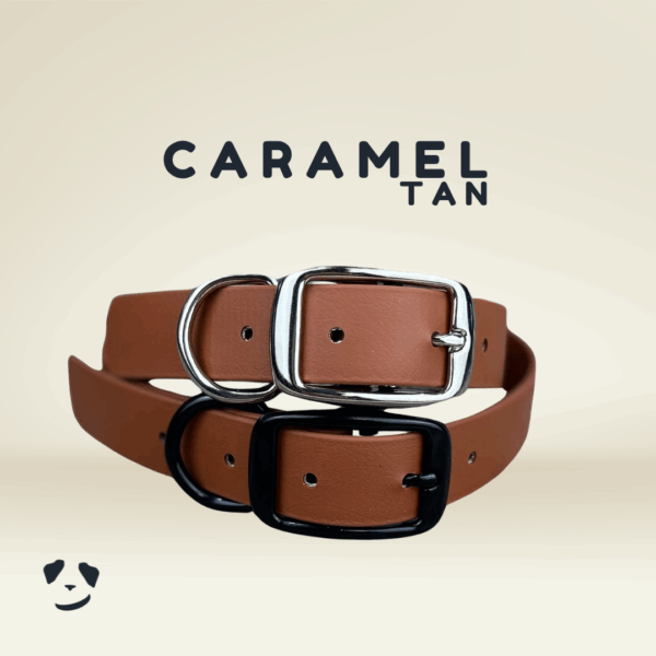 Collier pour chien en biothane robuste caramel