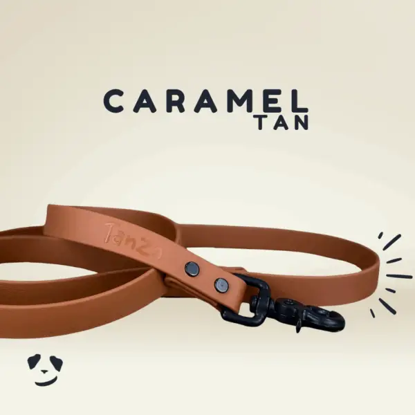 Tan biothane dog leash | Laisse en biothane caramel. Best biothane leash in canada