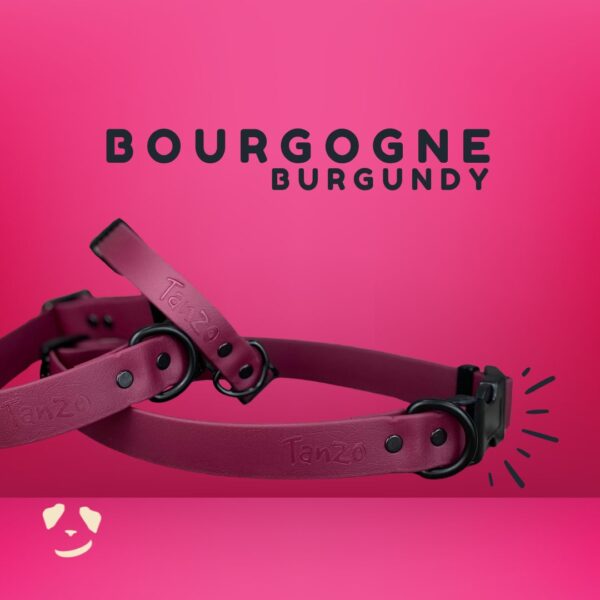 Collier pour chien en Biothane bourgogne, robuste et imperméable – look chic et fabrication artisanale
Burgundy Biothane dog collar – waterproof, durable, and stylishly handcrafted