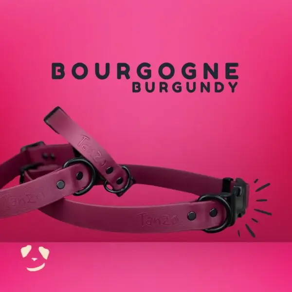 Collier pour chien en Biothane bourgogne, robuste et imperméable – look chic et fabrication artisanale Burgundy Biothane dog collar – waterproof, durable, and stylishly handcrafted