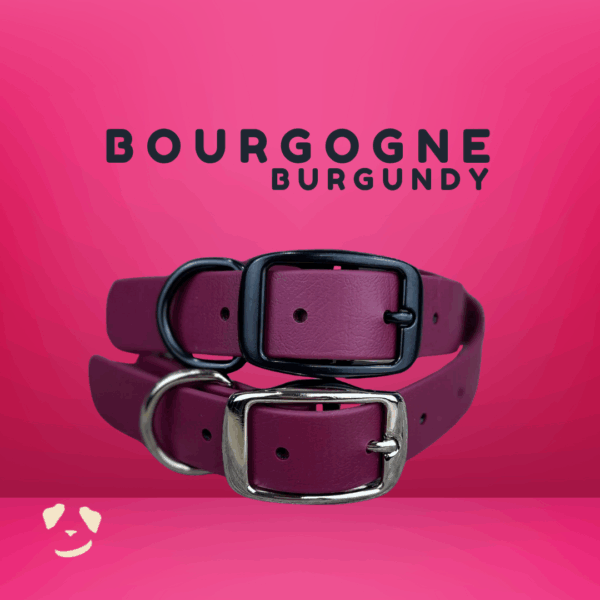 Collier pour chien en biothane robuste bourgogne