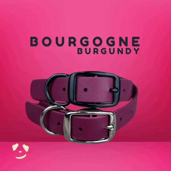 Collier pour chien en biothane robuste bourgogne