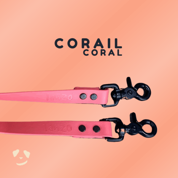 Coral biothane dog leash | Laisse en biothane corail. Meilleure laisse en biothane au canada.