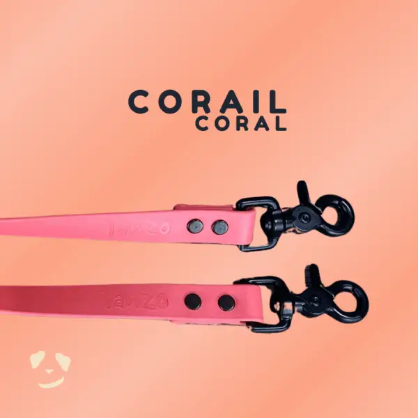Tan biothane dog leash | Laisse en biothane caramel. Meilleure laisse en  biothane au canada.
