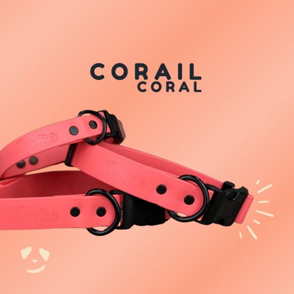 Collier pour chien en Biothane corail, imperméable, sans odeur et fait au Québec
Coral Biothane dog collar – waterproof, odorless, and handmade in Canada