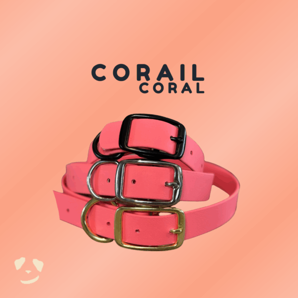 Collier pour chien en biothane robuste corail