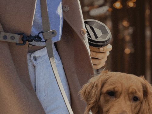 Laisse pour chien main libre portée à la taille avec un café à la main