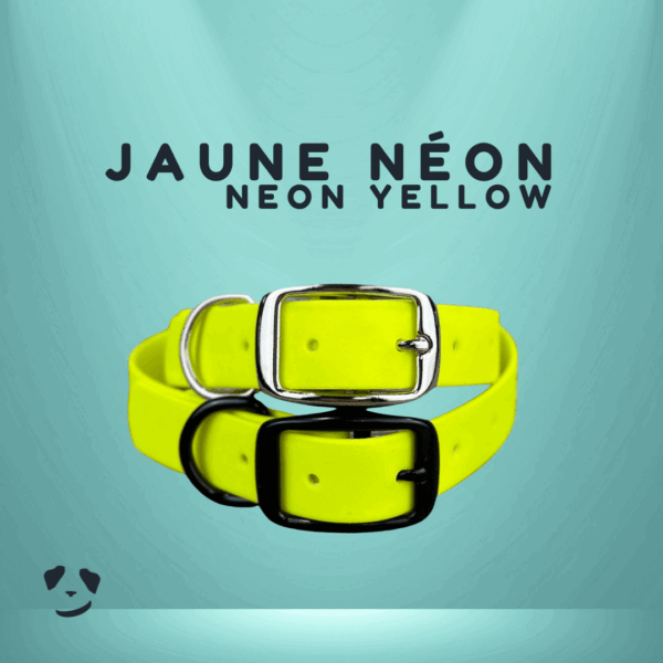 Collier pour chien en biothane robuste jaune néon