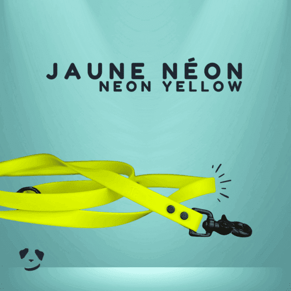 Yellow biothane dog leash | Laisse en biothane jaune. Meilleure laisse en biothane au canada.