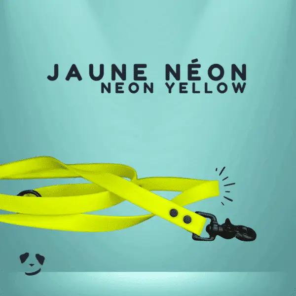 Yellow biothane dog leash | Laisse en biothane jaune. Meilleure laisse en  biothane au canada.