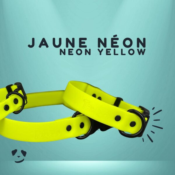 Collier pour chien en Biothane jaune, résistant à l’eau et aux odeurs – fabrication artisanale au Québec
Yellow Biothane dog collar – waterproof, odor-resistant, and handmade in Canada