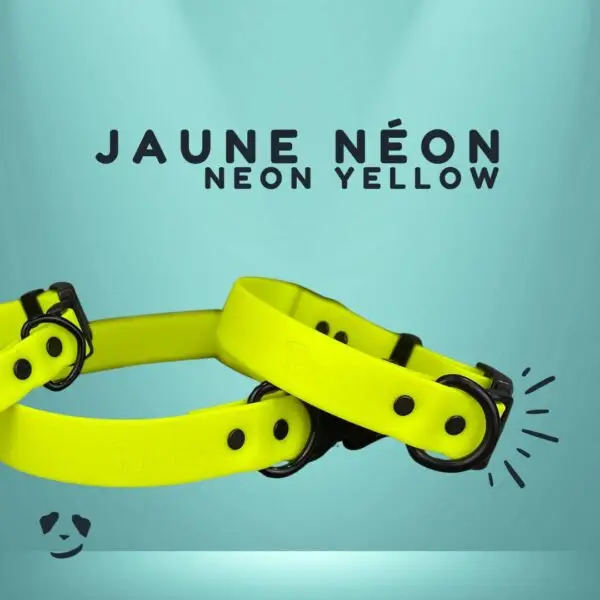 Collier pour chien en Biothane jaune, résistant à l’eau et aux odeurs – fabrication artisanale au Québec Yellow Biothane dog collar – waterproof, odor-resistant, and handmade in Canada