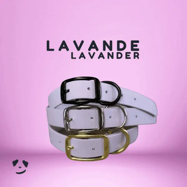 Collier pour chien en biothane robuste lavande