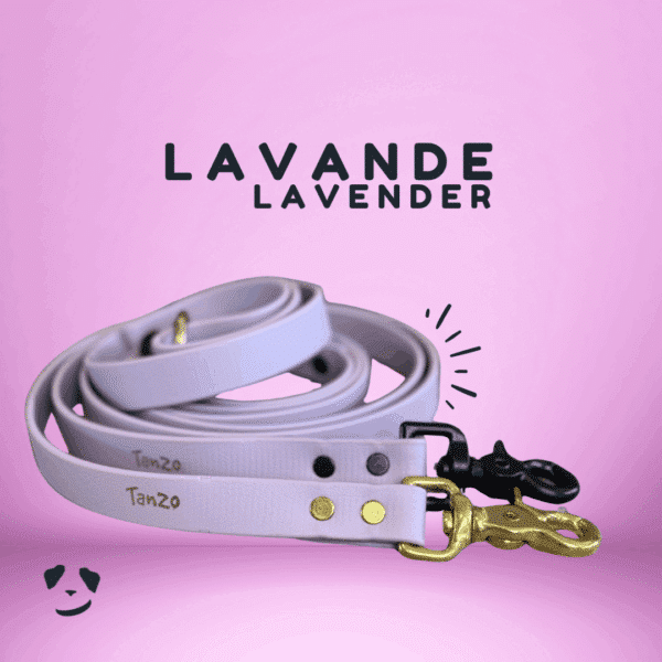 Lavender biothane dog leash | Laisse en biothane lavande. Meilleure laisse en biothane au canada.