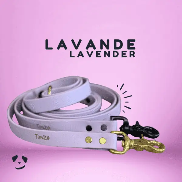Lavender biothane dog leash | Laisse en biothane lavande. Meilleure laisse en  biothane au canada.